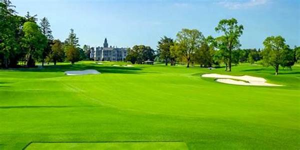 “best Golf Venues In Tokyo”