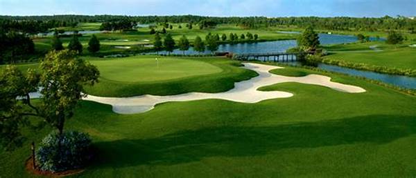 High-rated Winter Golf Travel Packages