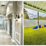 Luxury Pet Facilities At Golf Resorts