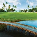 Best Tropical Golf Courses Available
