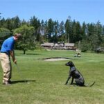 Bring Pets On Golf Trips