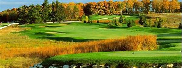 Elite Golfing Weekend Experiences