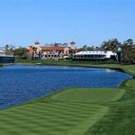 Golf And Pet Vacation Packages