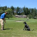 Golf Courses Pet Accommodations