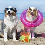 Golf Vacations With Pet Amenities