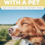 Planning A Golf Trip With Pets