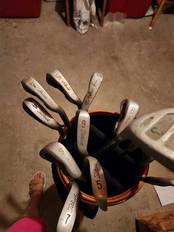 “seasonal Golf Clubs With Great Reviews”