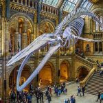 Top-rated Golf Clubs Near Famous Museums In London