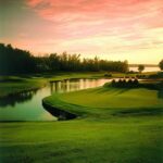 Beautiful Weekend Golf Course Scenery