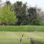 Elite Golf Courses Central London
