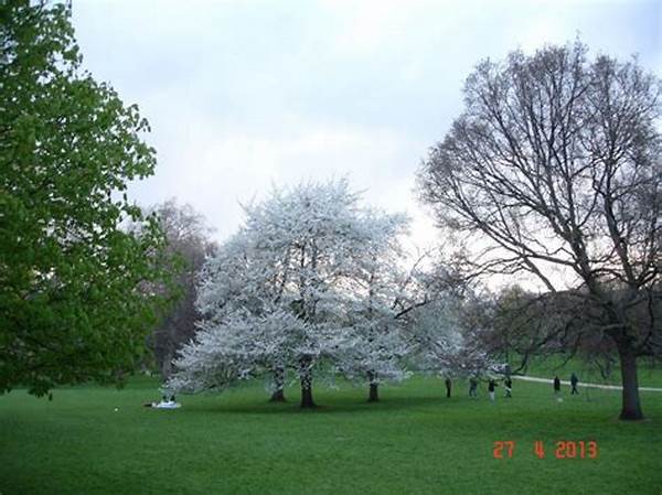Golf Courses Near Buckingham Palace