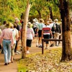 Mature Travelers Golf Excursions