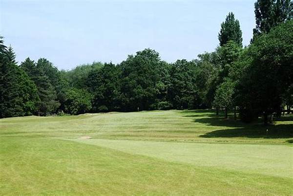 Reasonably Priced Golf Sessions London
