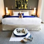Versatile Pet Amenities At Golf Locations