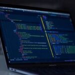 Customizable Online Classes For Newbies