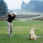 Nearby Golf Courses Allowing Dogs