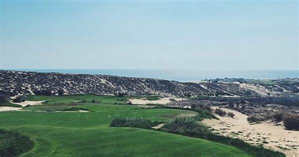 Personalized Golf Tour Itineraries