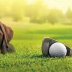 Play Golf With Your Pet