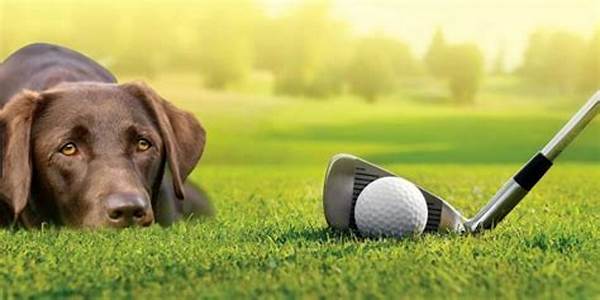 Play Golf With Your Pet