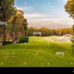 Scenic Fairways And Golfing Views