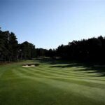 Shared Memories On The Golf Fairway