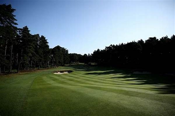 Shared Memories On The Golf Fairway