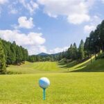 Top Beginner Accessible Golf Venues
