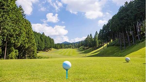 Top Beginner Accessible Golf Venues