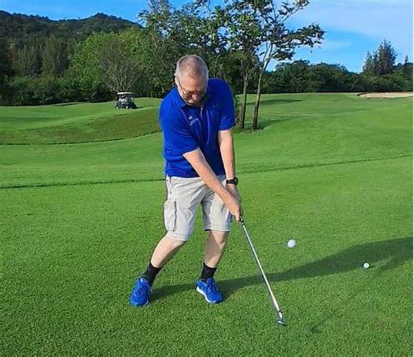 Affordable Beginner Golf Training Programs