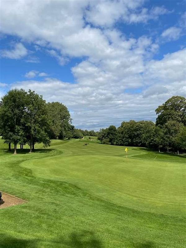Golf Lessons Near Buckingham Palace