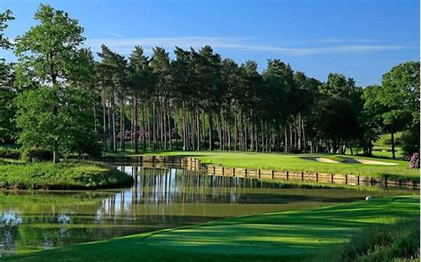 Play Golf Close To London Highlights