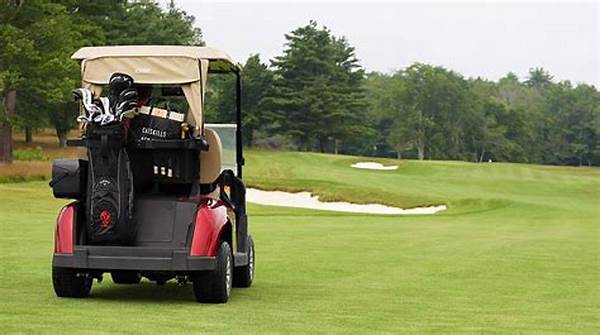 Resorts Hosting Golf Training Sessions