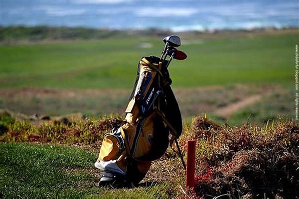 Top-tier Golf And Health Journeys
