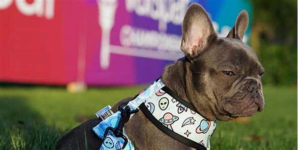 Accommodations For Pets Golf Resort