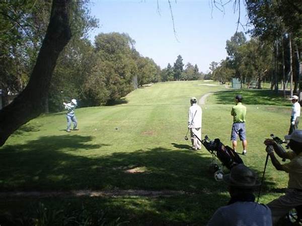 Beginner-friendly Golf Course Facilities