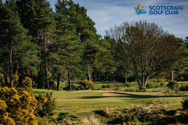 Prestigious Scottish Golf Experiences