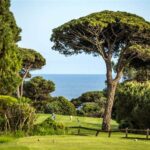 Relaxing Golf Retreats With Sunshine