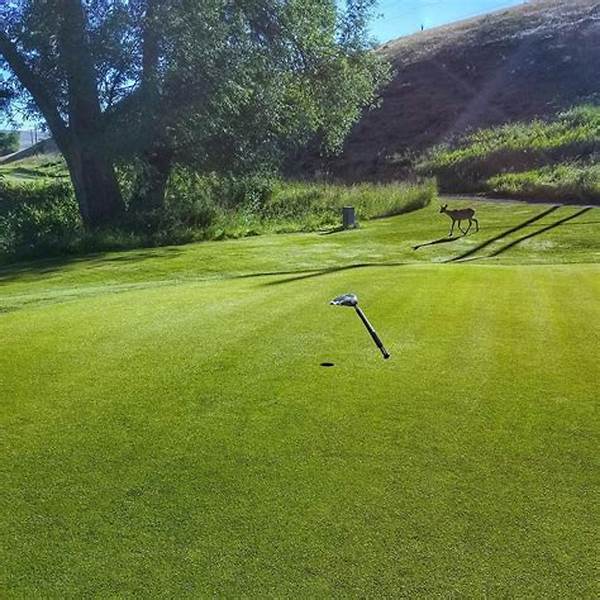 Alpine Region Golf Course Travel Designs