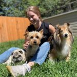 “dog-inclusive Courses In Area”