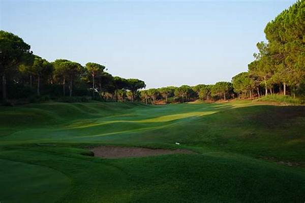 Exclusive International Golf Arenas