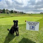 Golf Links Welcoming Dog Companions