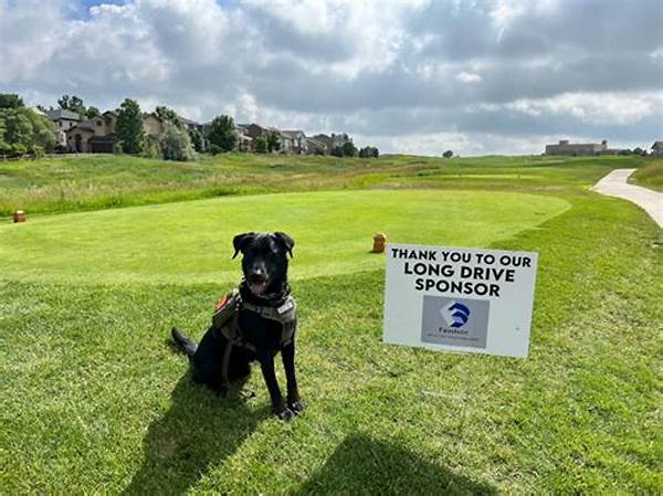 Golf Links Welcoming Dog Companions