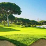 International Sunny Golf Courses