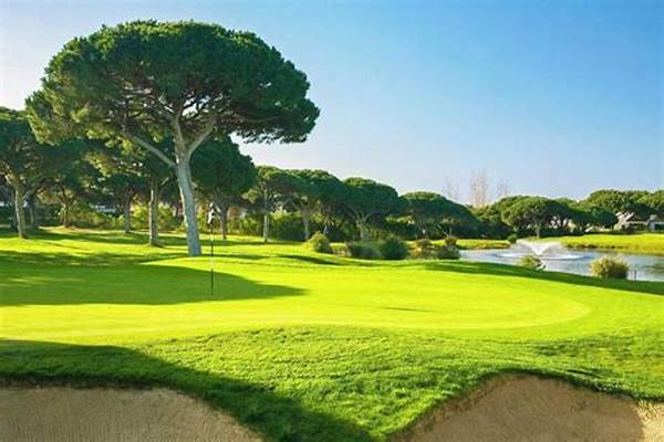 International Sunny Golf Courses