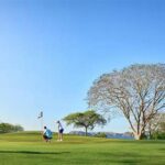 Pet-inclusive Golf Resort Experiences