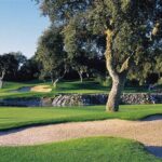 Premier Global Winter Golf Getaways