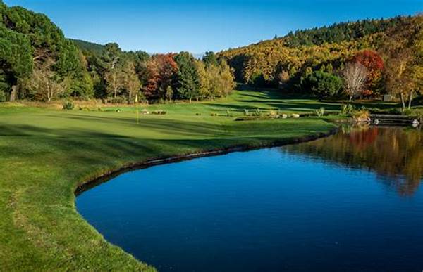 Bespoke International Golf Tours