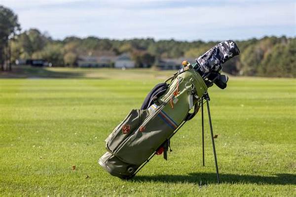 Inexpensive Golf Bag Varieties