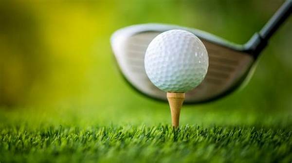 London Golf Lessons For Novices