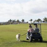 Pet-friendly Golf Club Facilities